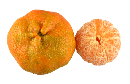 Tangerine on white background.の写真素材