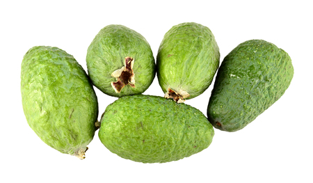 Feijoa isolated over white background. 

の写真素材