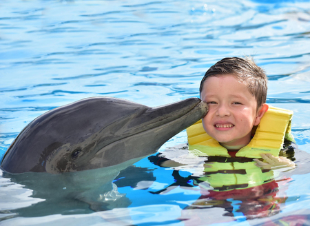 Smiling boy kissing dolphin in pool.の写真素材