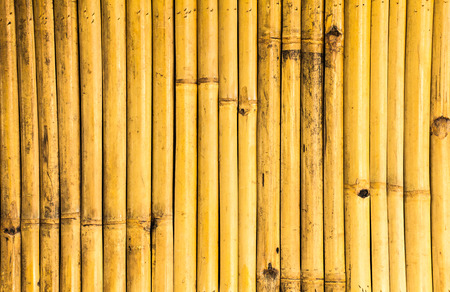 bamboo fence backgroundの写真素材