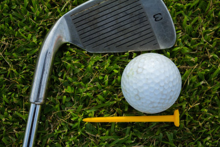 Golf club and ball in grass