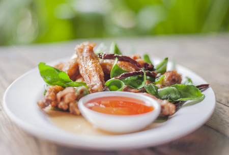 Medicinal Fried Chicken/Thailand Foodの写真素材
