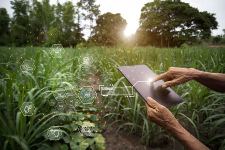 IOT smart farmer concept, Using IOT technology to control production smartphone with graphic concepts modern agricultural technology, digital farm, smart farming innovationの写真素材