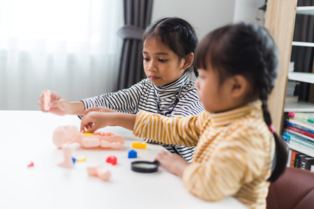 two sibling Playing Anatomy studies for kids. Human body organs and skeleton parts toy. Learning medical terms, order and location of each part. at home.の写真素材