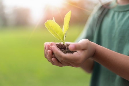 A person is holding a small plant in their hand. The plant is a seedling and is growing in the dirt. The person is holding the plant with care, embodying the concept of environmental stewardship and the importance of nurturing nature.の写真素材
