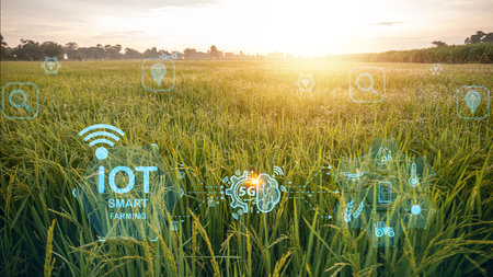 rice field IOT technology research about agriculture problems analysis data and visual icon. smart agriculture farmer using internet of thingsの写真素材
