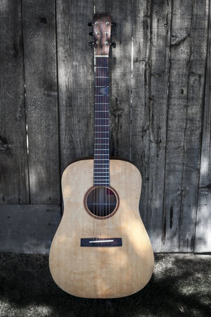 This is a front view of a guitar leaning against a fence with surrounding things greyed out.
