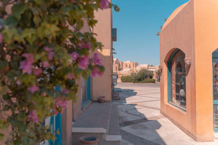 Street at town of El Gouna with flowers. Egypt, North Africaの写真素材