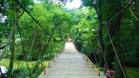 small bridgeの写真素材