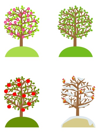 Four seasons tree のイラスト素材