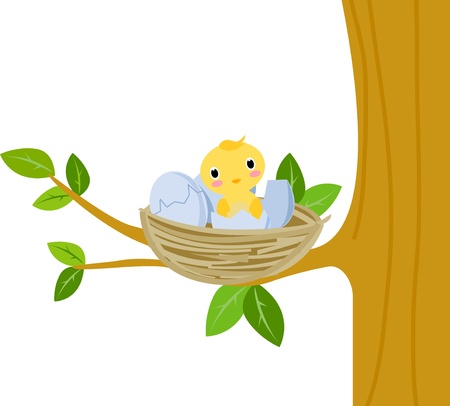 Nest with baby birds のイラスト素材
