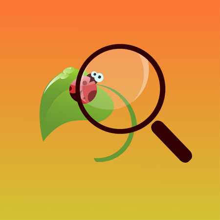 Cute lady bug sitting on a leaf under a magnifying glassのイラスト素材