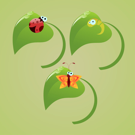A cute lady-bug, butterfly and caterpillar sitting on green leavesのイラスト素材