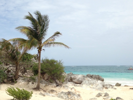 Tulum eveningの素材