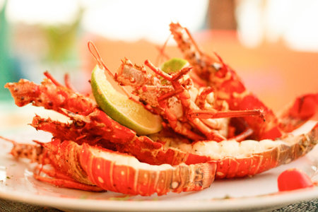 Dish with a cut and cooked lobster decorated with lemon slices. Gastronomy concept