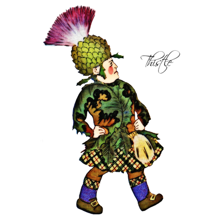 Thistleのイラスト素材