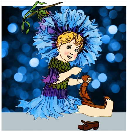 Bachelor Buttonのイラスト素材