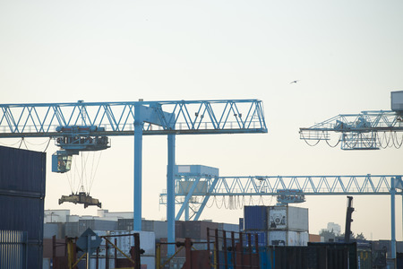 Commercial harbor with large industrial cranesの写真素材