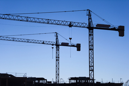 Cranes at sunsetの写真素材