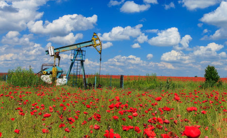 Very high resolution 3d rendering of oil pumps on the sunset skyの写真素材