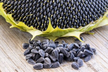 Sunflower with Seeds on wooden background (macro shot)の写真素材