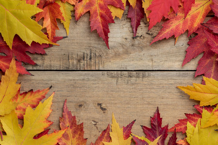 Autumn leaves on wooden background. Top view, frame, banner
