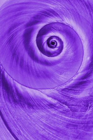 Blue snail spiralの写真素材