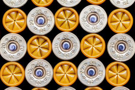 Close-up of 20 gauge shotgun cartridges used for hunting