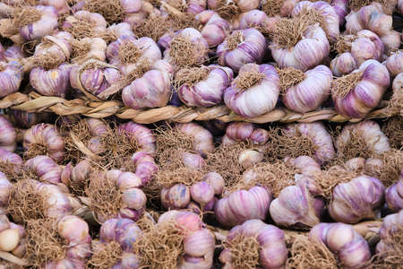 Full fame textured background of heap of ripe unpeeled garlic placed on stall at local marketの写真素材