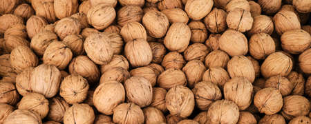 From above of walnut nuts in solid shell placed at a local market. panoramic formatの写真素材