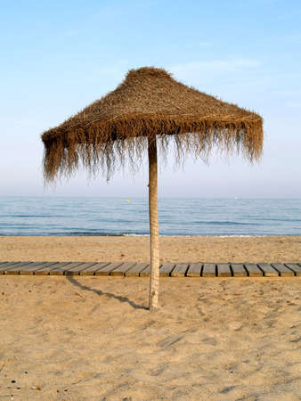Beach umbrella     の写真素材