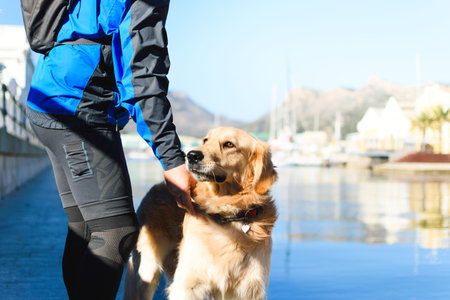 Golden Retriever dog with orange eyes, wearing a necklace with a heart accompaning a sports adult...