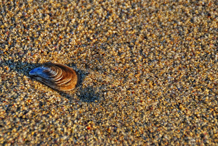 Beach Mar de Fora