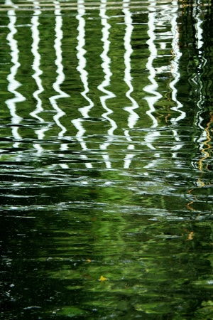 Reflections in the waterの素材
