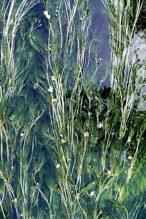 Life on the Riverの素材