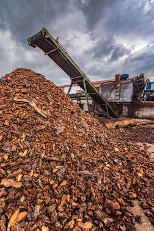 Transport of pine logs in a sawmill for processing and pellet processing in a large logging operationの写真素材