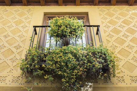 Traditional decorative pattern of the facades of the houses in the historic Jewish quarter of Segovia. Also called sgraffito (Spain)の写真素材