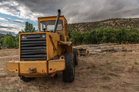 Industrial machinery for the transport and loading of logs in a wood factoryの写真素材