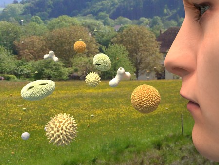 Hay feverの写真素材