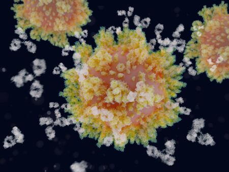 Binding of antibodies to the spike (S)-protein of the SARS-CoV-2 virus is an essential  step for  developing immunity to the coronavirus.の写真素材