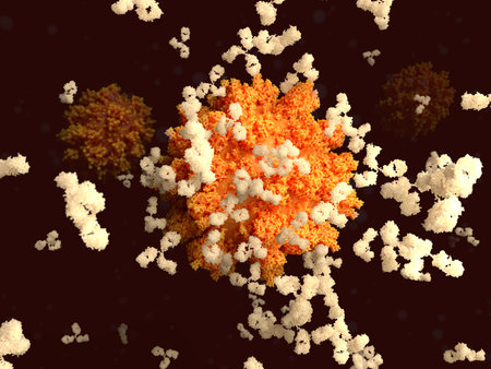 Binding of antibodies to the spike (S)-protein of the SARS-CoV-2 virus is an essential  step for ...