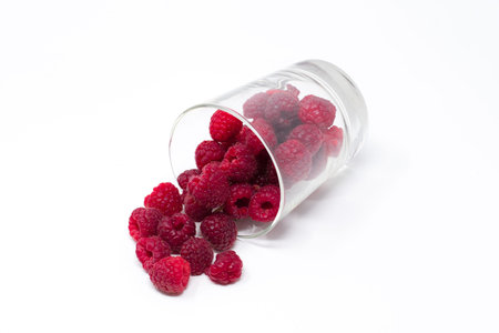 RED MORAS