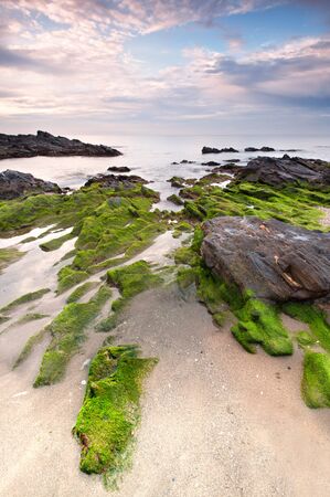 Impressive sunrise in a beach of Malaga, Andalusia with long exposure water and green rocks in firts placeの写真素材
