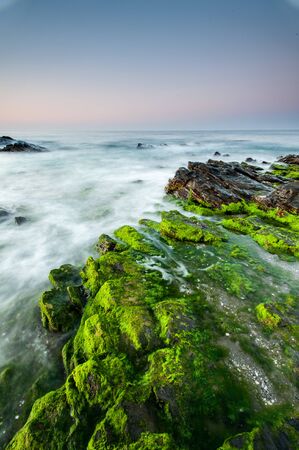 Impressive sunrise in a beach of Malaga, Andalusia with long exposure water and green rocks in firts placeの写真素材