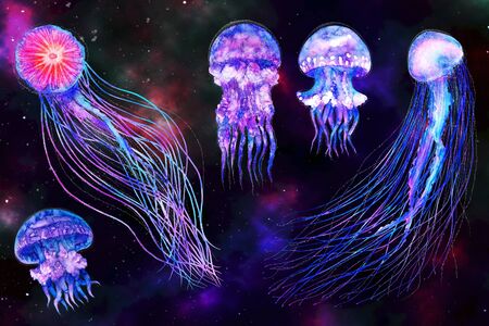 Set of the jellyfish, corals, seaweed and other inhabitants of the spaceの写真素材
