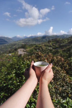 A woman hands holding a cup of tea with a beatiful and natural landscape view in the middle of a mountain travelの写真素材