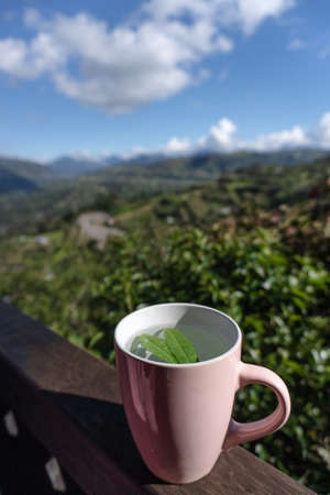 A cup of tea with on a railing balcony with a beatiful and natural landscape view in the holidayの写真素材