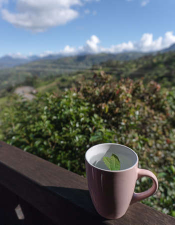 A cup of tea with on a railing balcony with a beatiful and natural landscape view in the holidayの写真素材
