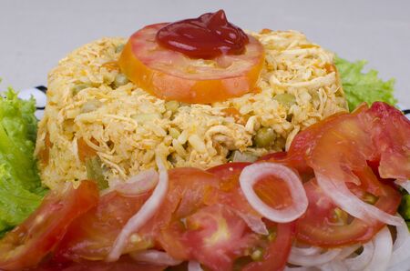 Rice with chicken, tomato and onionの写真素材