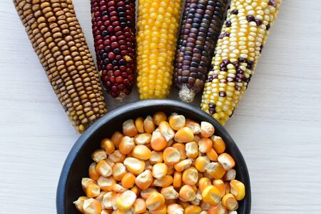 (Zea mays) Whole and shelled dry multi-colored corn with dry leaves on woodenの写真素材